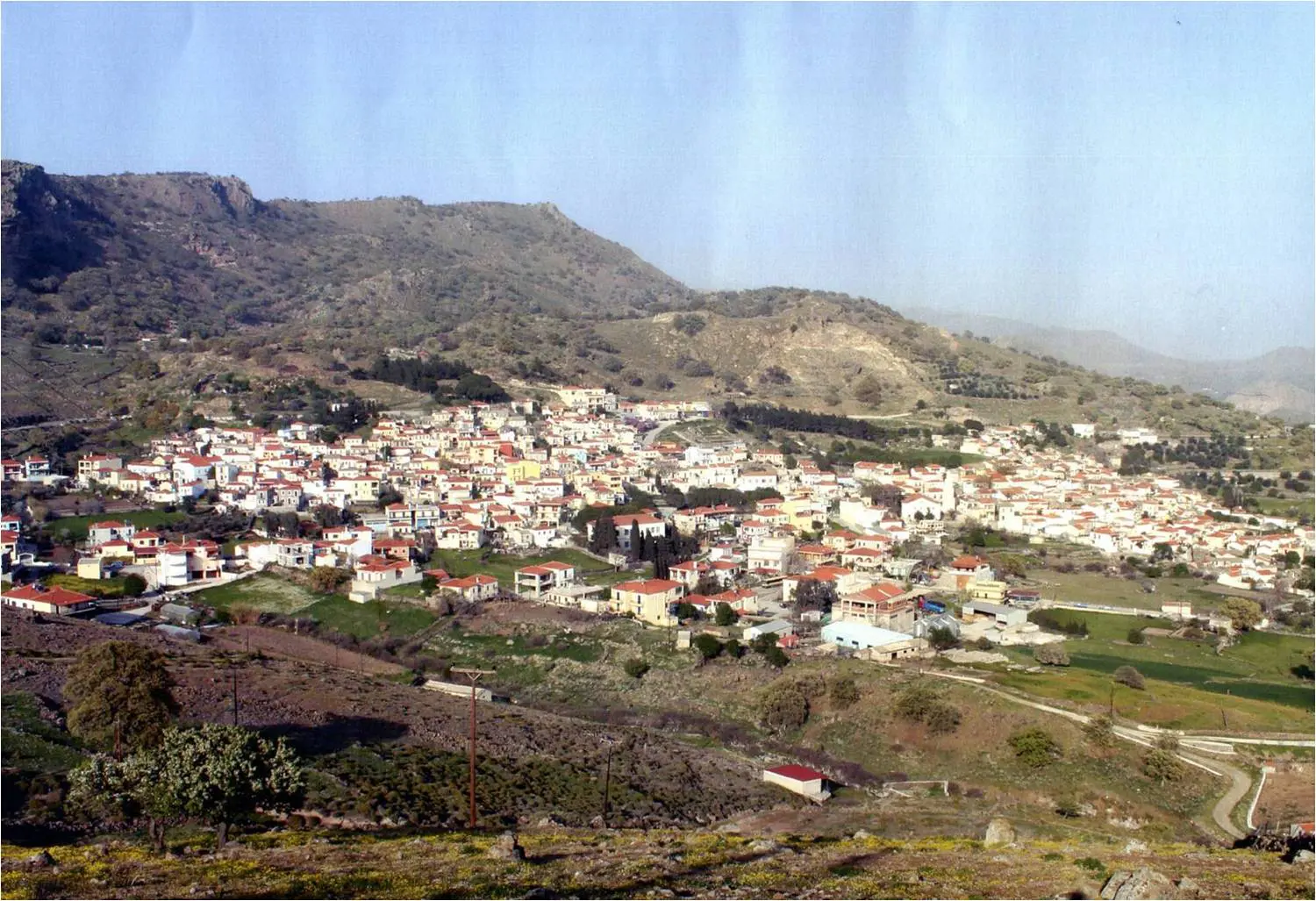 Hillside village with white houses and fields