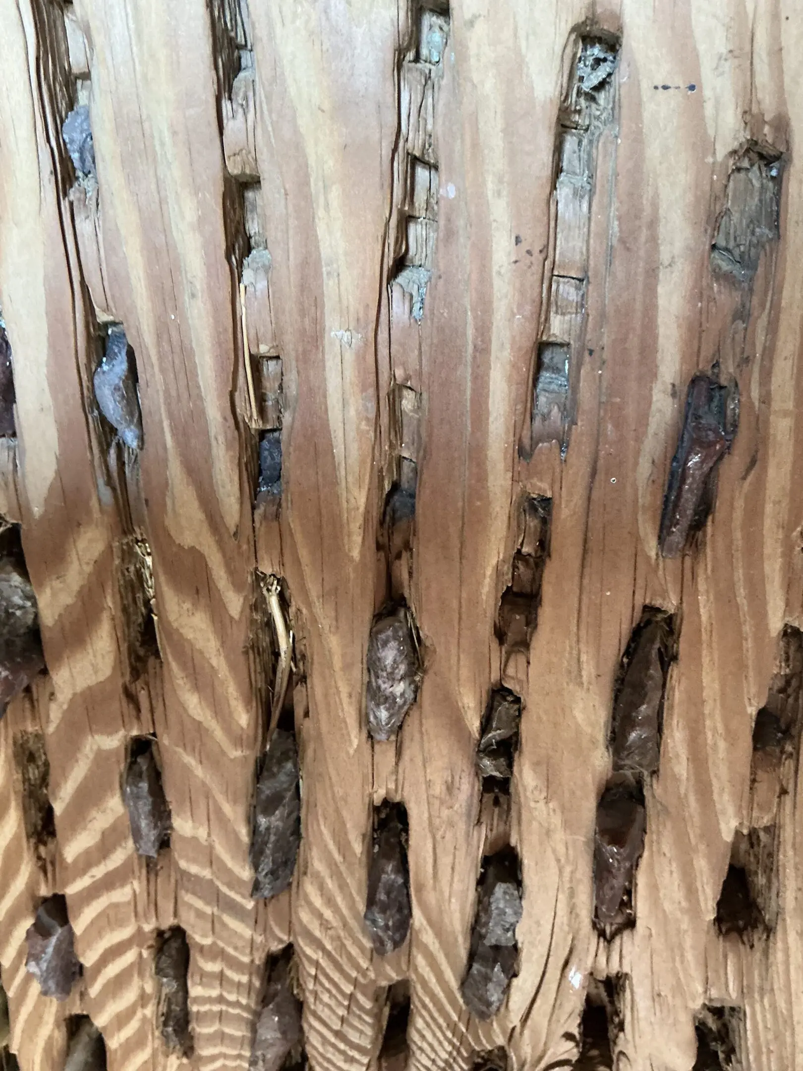 Close-up of wood panel with vertical holes