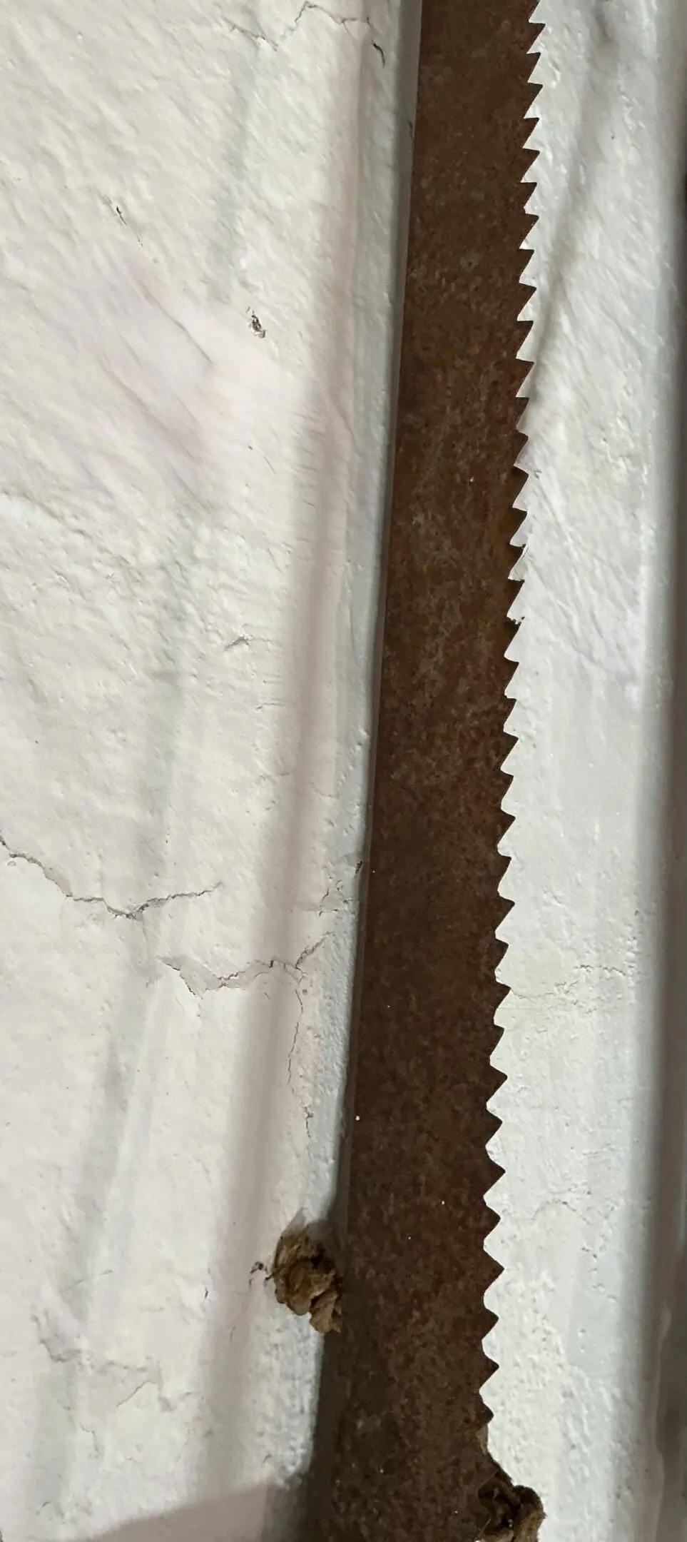 Rusty serrated saw blade on white wall